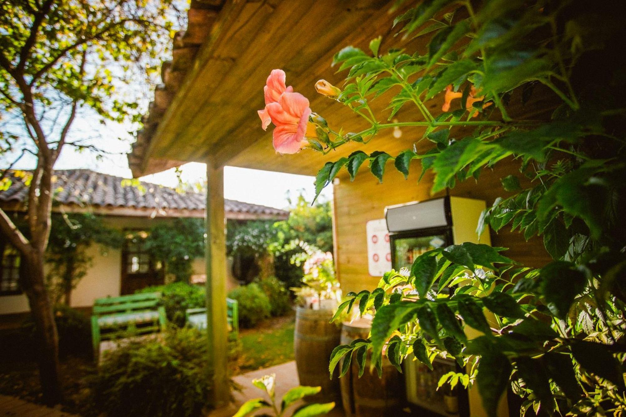 Hotel Hoja De Parra Santa Cruz Exterior foto